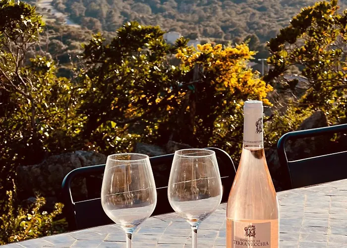 Vila A Vista - Luxe, Piscine, Vue Panoramique - Classee 4 Etoiles *